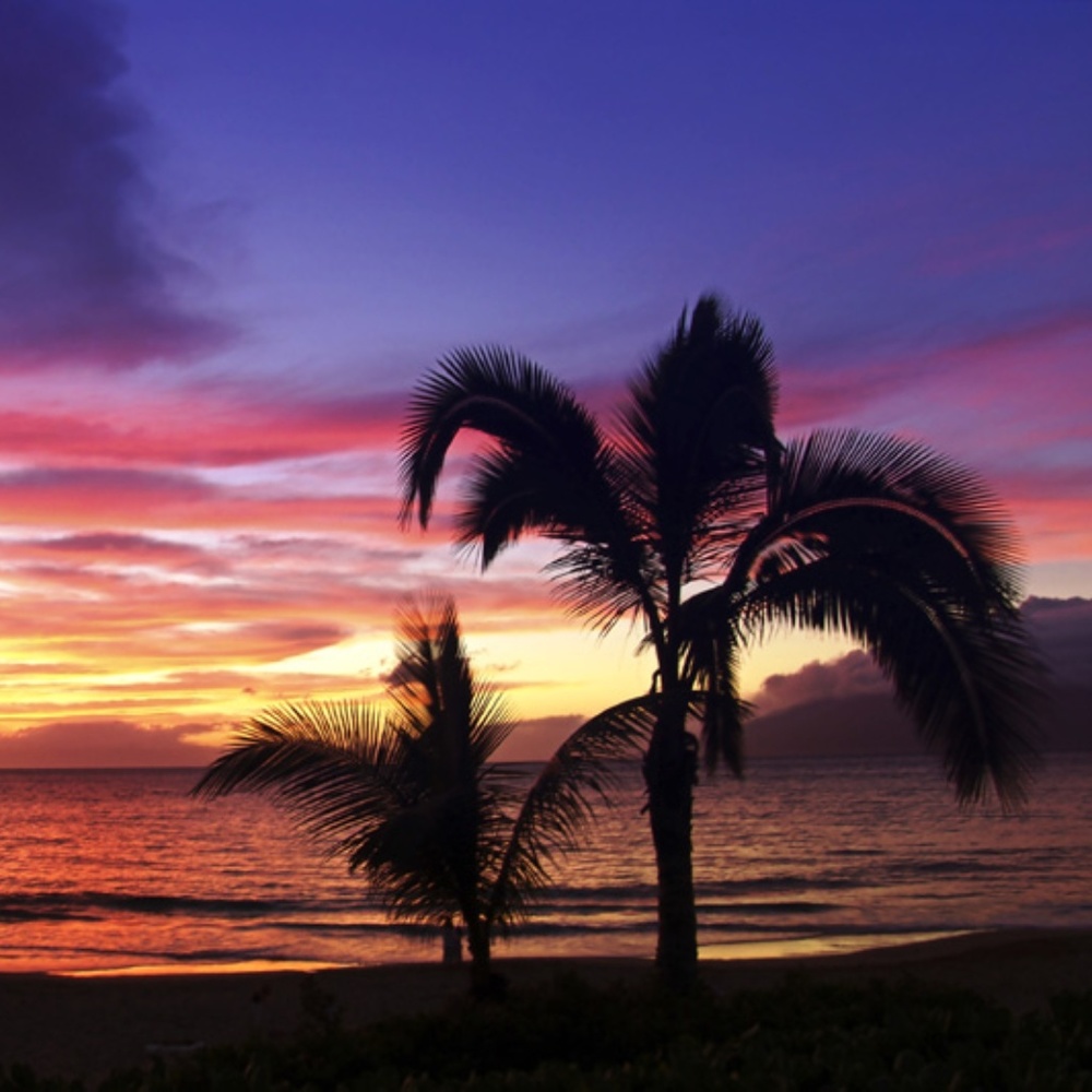 Meet your Posher, Lee